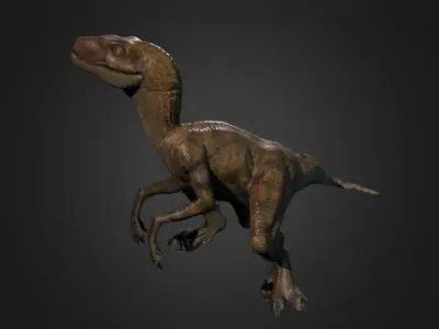 Raptor Photogrammetry Free 3D model