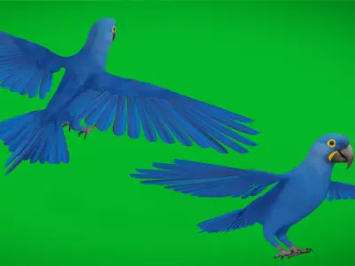 Hyacinth Macaw Parrot Low-poly 3D model purchase