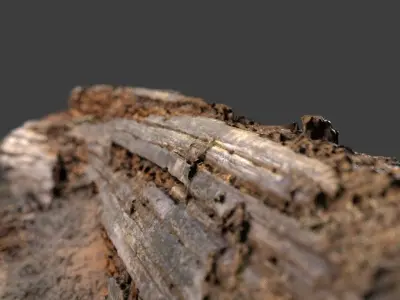 Ant Nest Log Low-poly 3D model