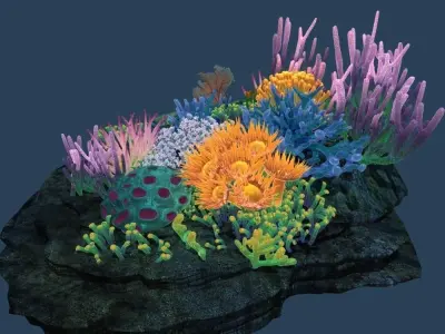 Coral reef 3D model purchase