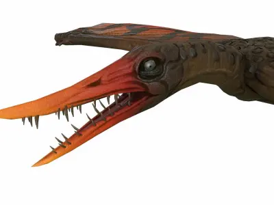 Rhamphorhynchus Low-poly 3D model
