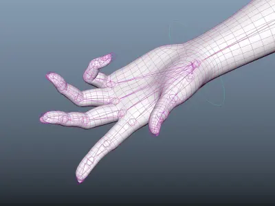 Female Hand Rigged 3D model