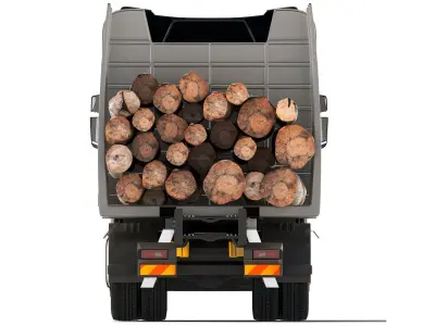 Truck R650 timber 2020 3D model
