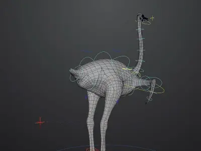 3D model of Ostrich including animation RIG 3D model