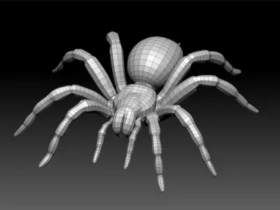 Tarantula Low-poly 3D model purchase