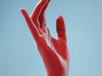 Female Hand 1 3D model