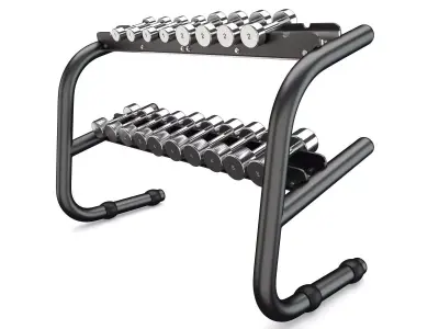 Technogym - Free Weight - Chromed Dumbells 3D model