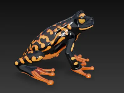 Frog Poisonous Realistic 3D Model Basic - Low Poly Realistic Low-poly 3D model get