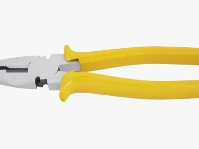 Pliers 3D Model 3D model
