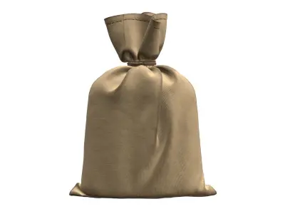 canvas money bag 3D model