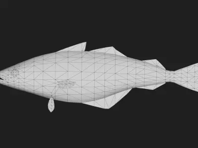 Cod fish Low-poly 3D model buy