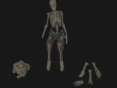 Mossy Skulls VOL 1 Low-poly 3D model