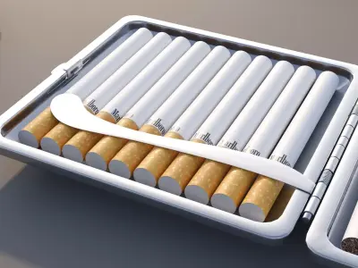 Cigarette Case Leather Closed and Open With 2 Color 3D model