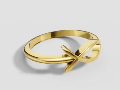 Infinity Ring 3D print model