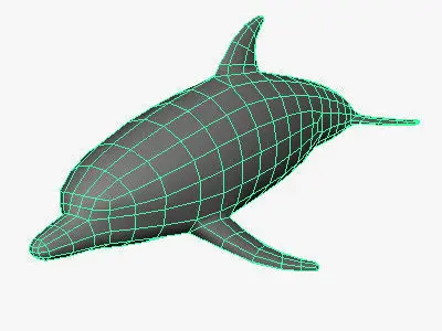 Low Poly Dolphin Low-poly 3D model buy