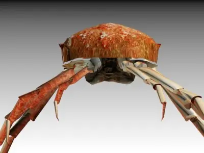 CRAB LOW POLY spider with long legs 3D model