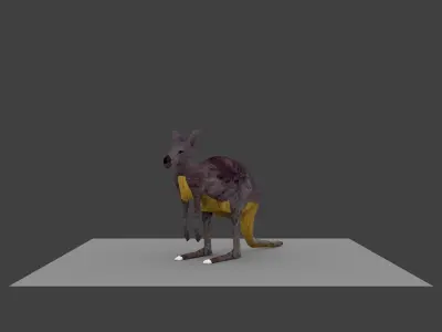kangaroo made in blender Low-poly 3D model