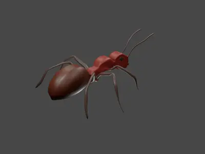 Ant model Free 3D model