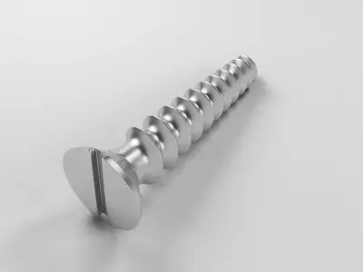 Screw 3D model order