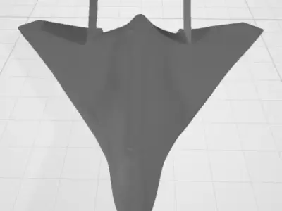 B-2 Spirit Bomber STL - Stealth Aircraft 3D Print Model 3D print model