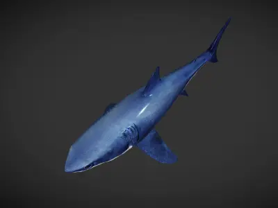 Shark great Low-poly 3D model get