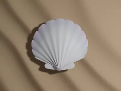 Shell seashell Free 3D model