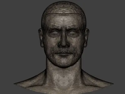 Man Head - Bust  3D model