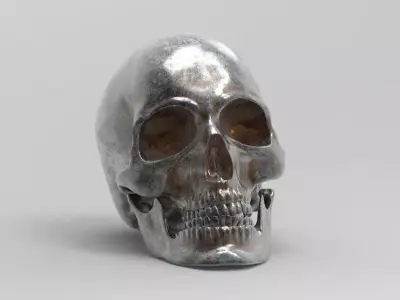 Separate anatomically correct human skull in natural size 3D print model