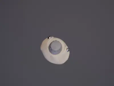 Military Water Canteen Free low-poly 3D model