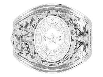 Champion Ring 3D print model