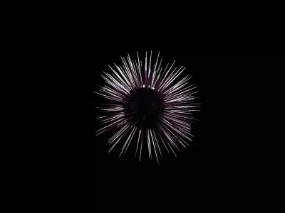Sea Urchin Free 3D model