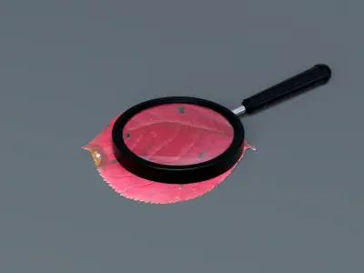Magnifying Glass 3D model purchase
