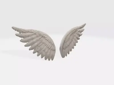 A pair of large detailed angel wings 3D model