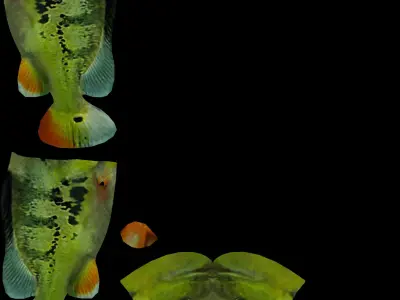 Perch fish 3D model purchase