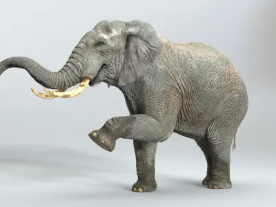  Elephant RIGGED  buy