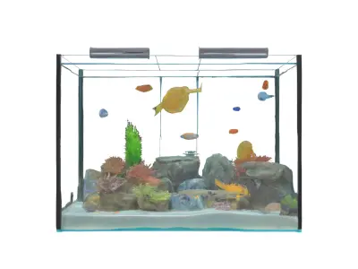 Aquarium Low-poly 3D model