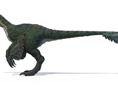 Oviraptor Static 3D model
