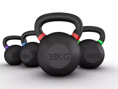 Gym Equipment Weights Set of 5 3D model