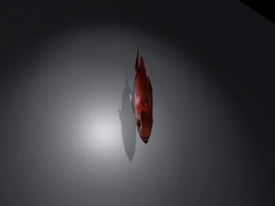 Fish3D v1 Free low-poly 3D model