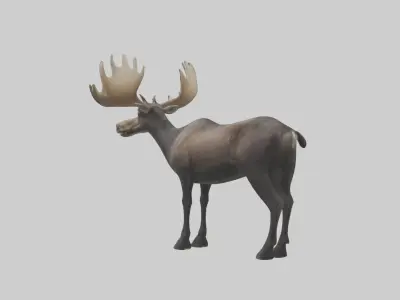 Moose deer Low-poly 3D model