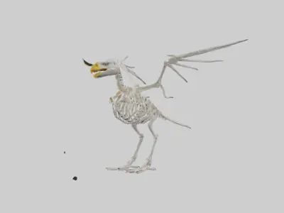 Eagle Skeleton model Low-poly 3D model