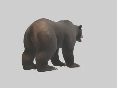 Bear Paws 3D model