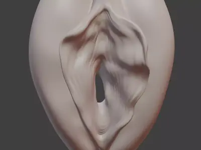 Anatomically correct vulva 3D model