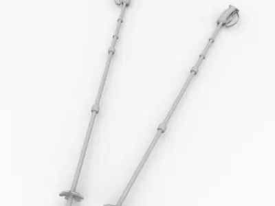 Ski Poles 3D model