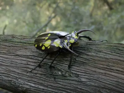 Bug Monster Low-poly 3D model