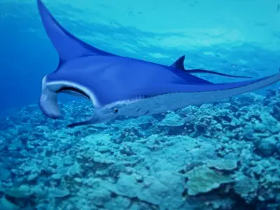Mobula 3D model