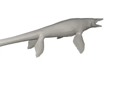 Dinosaur whale 3D model