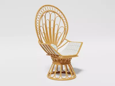 Rattan peacock chair 3D model