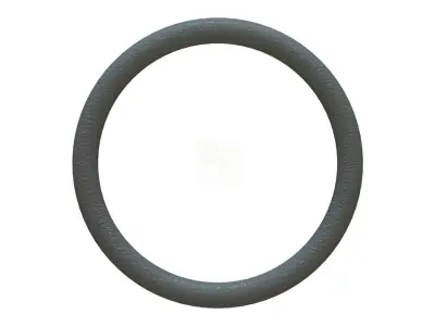 O Ring Vedabras 12469 3D model