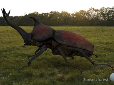 Rigged rhinoceros Beetle 3D model